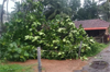 Udupi: Heavy rains cause damage to 151 electric poles